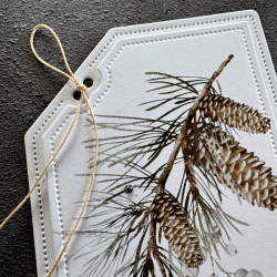 Simple and Basic - Die - Det manglende hjrne tag