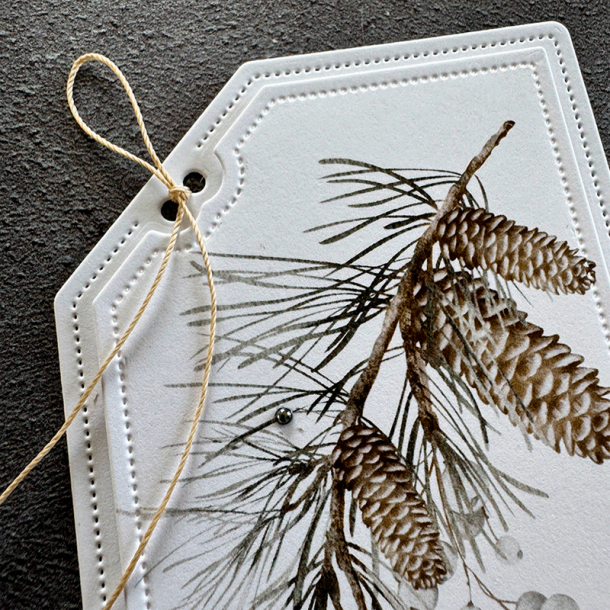 Simple and Basic - Die - Det manglende hjrne tag