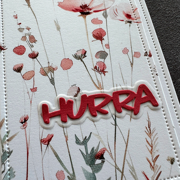 Simple and Basic - Die - Hurra / Tillykke tekster