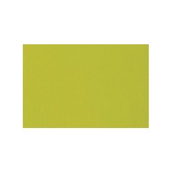 Basics - Acrylmaling 118 ml. - Light Olive Green - 218