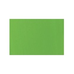 Basics - Acrylmaling 118 ml. - Lime Green - 222