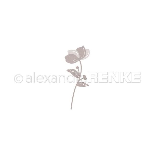 Alexandra Renke - Die - "Intertwined apple blossom #2" - bleblomst