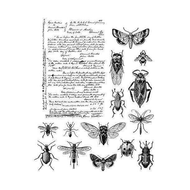 Tim Holtz - Stempel - Entomology