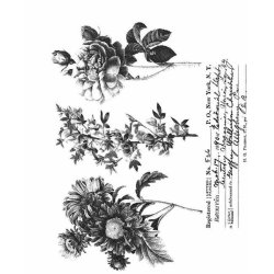 Tim Holtz - Stempel - Flower Shop