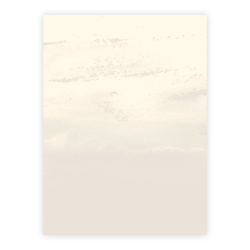 Three Scoops - Designpapir - A4 - Flora beige