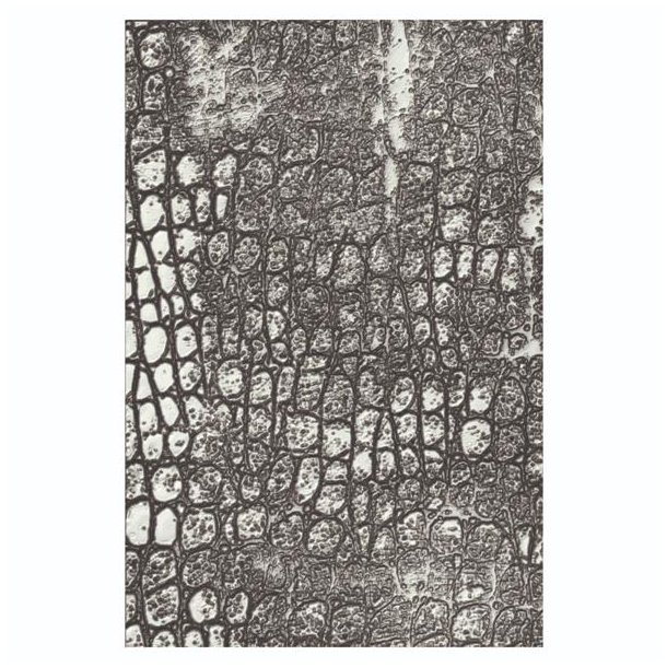 Tim Holtz - Embossingfolder - Reptile - Reptil