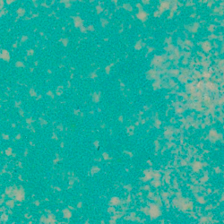 WOW! Embossing Powder - Primary Bluetiful - Ultra High