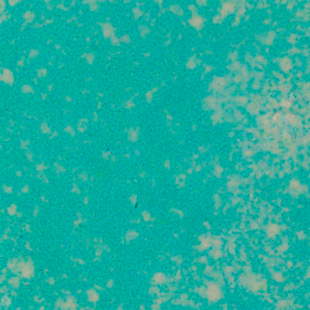 WOW! Embossing Powder - Primary Bluetiful - Ultra High