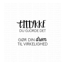 Three Scoops - Stempel - Tillykke - du gjorde det - TSSL1023