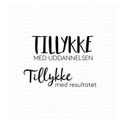 Three Scoops - Stempel - Tillykke med uddannelsen - TSSL1063