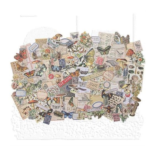 Tim Holtz - Idea-Ology - Field Notes Emphemera