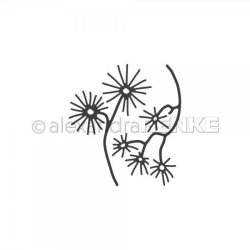 Alexandra Renke - Die - Prickly Plant / Plante