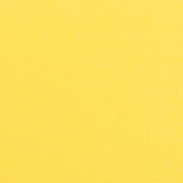 Vaessen - Florence - Karton 12 - 216g - Lemon Yellow