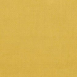 Vaessen - Florence - Karton 12 - 216g - Bee