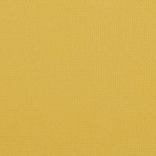 Vaessen - Florence - Karton 12 - 216g - Bee