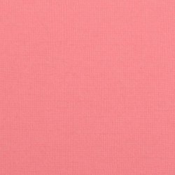 Vaessen - Florence - Karton 12 - 216g - Magnolia