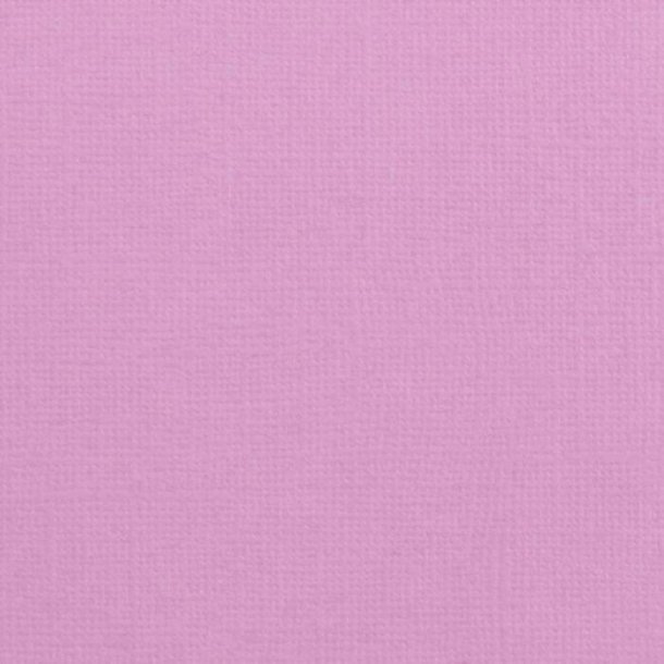 Vaessen - Florence - Karton 12 - 216g - Hydrangea