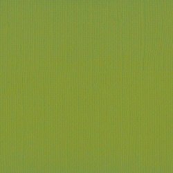 Vaessen - Florence - Karton 12 - 216g - Fern