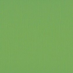 Vaessen - Florence - Karton 12 - 216g - Frog