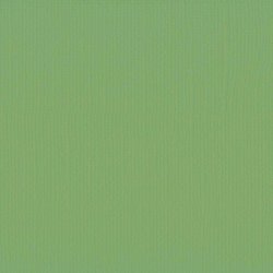 Vaessen - Florence - Karton 12 - 216g - Moss