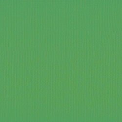 Vaessen - Florence - Karton 12 - 216g - Holly