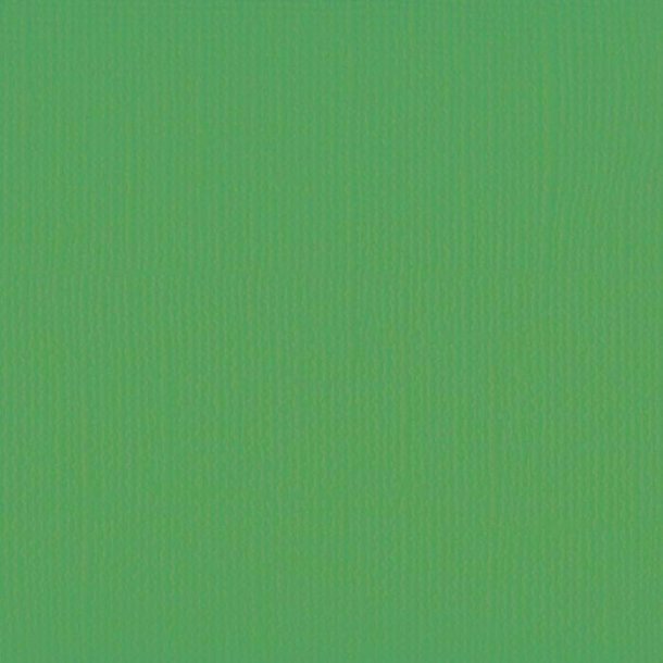 Vaessen - Florence - Karton 12 - 216g - Holly