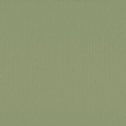 Vaessen - Florence - Karton 12 - 216g - Acacia