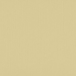 Vaessen - Florence - Karton 12 - 216g - Pudding