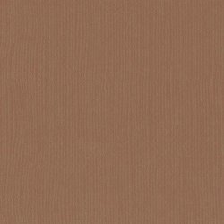 Vaessen - Florence - Karton 12 - 216g - Lion