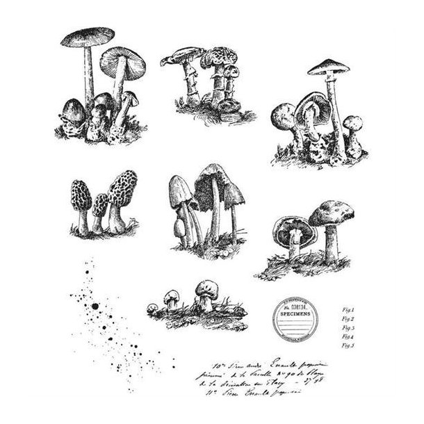 Tim Holtz - Stempel - Tiny Toadstools / Svampe