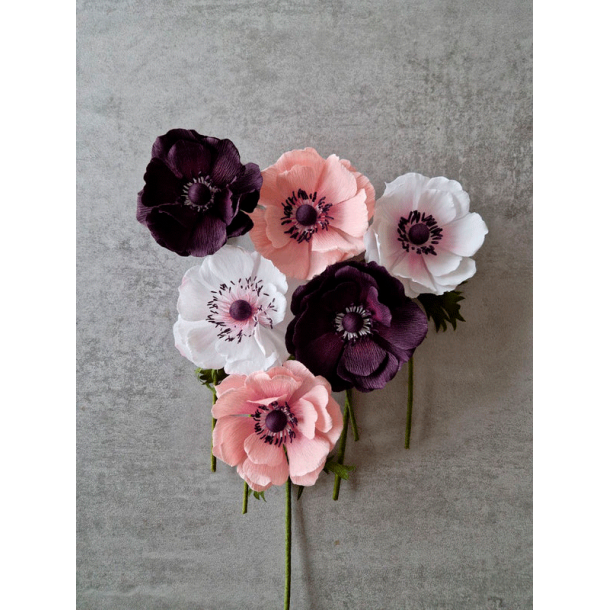 Crepeblomster - Kit - Anemone