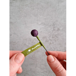 Crepeblomster - Kit - Anemone