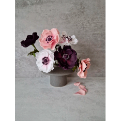 Crepeblomster - Kit - Anemone