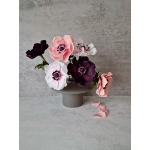 Crepeblomster - Kit - Anemone