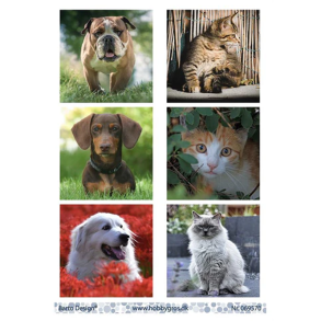 Barto Design - 3D ark - Hunde og katte