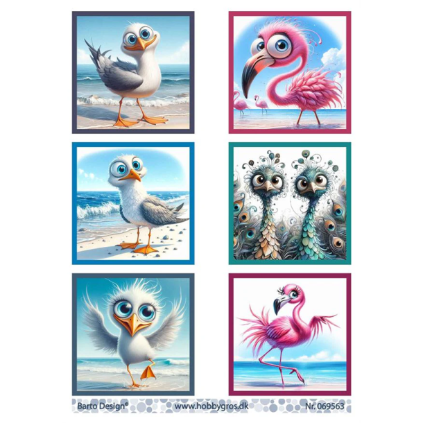 Barto Design - 3D ark - Sjove m�ger, flamingoer og p�fugle