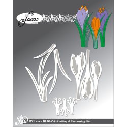 By Lene - Die - Krokus