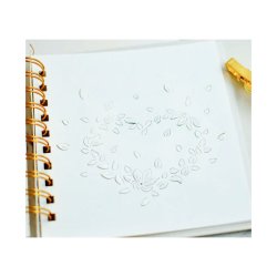 Alexandra Renke - Die - Blomster Hjerte