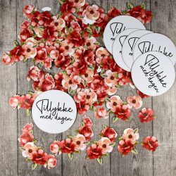 Dan Cuts - Sm� Blomster - Tillykke