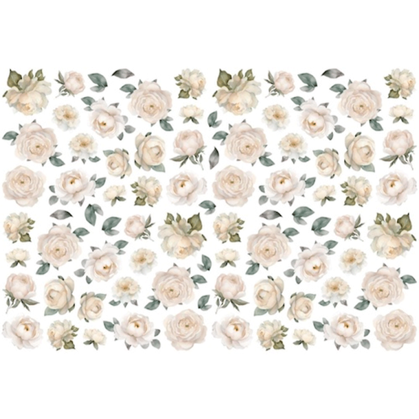 Dan Cuts - Hvide roser