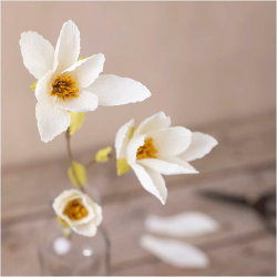Mini DIY Kit - Crepepapir - Magnoliagren