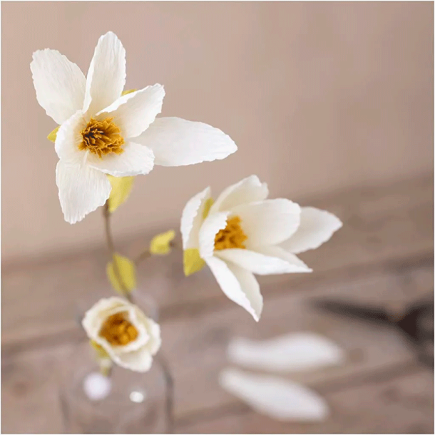 Mini DIY Kit - Crepepapir - Magnoliagren