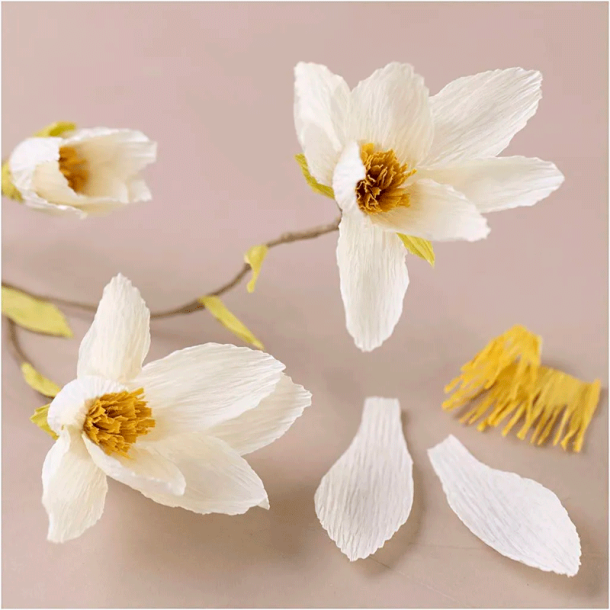 Mini DIY Kit - Crepepapir - Magnoliagren