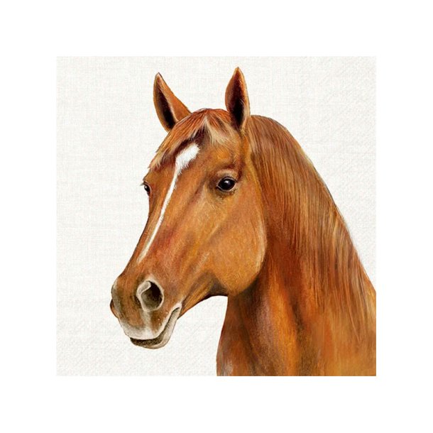 IHR - Frokostservietter - Hest - 20stk