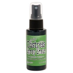 Tim Holtz - Distress Spray Stain - Mowed Lawn