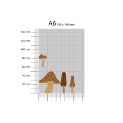 Gavlhusets Design - Die - Svampe