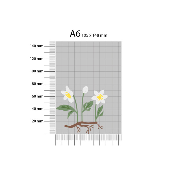 Gavlhusets Design - Die - Anemone