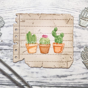 Gummiapan - Die - 3 kaktusser