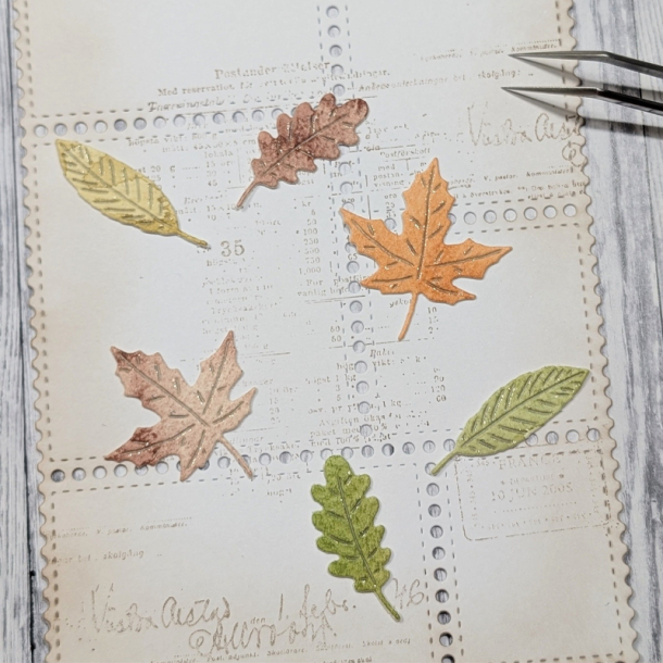 Gummiapan - Die - 3 sm� blade