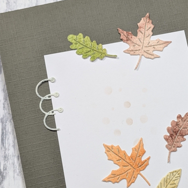 Gummiapan - Die - Albumringe